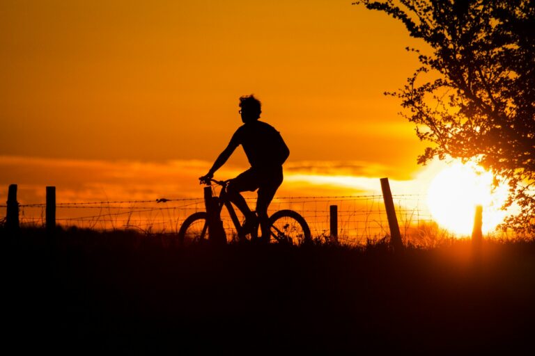 opvouwbare elektrische fiets